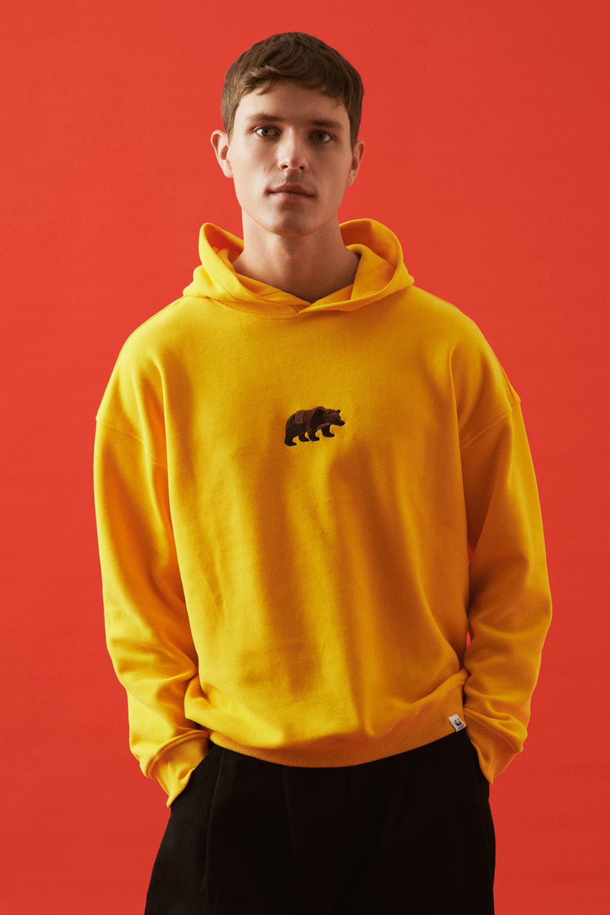 Brown Bear Hoodie - Yellow