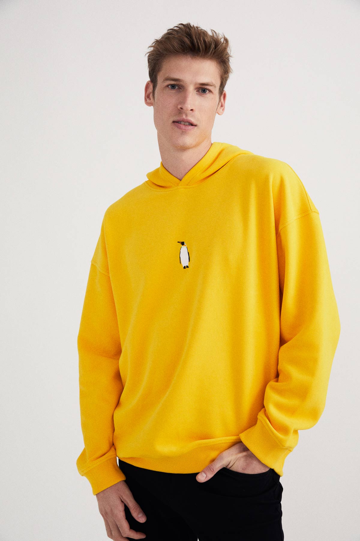 Emperor Penguin Hoodie - Yellow